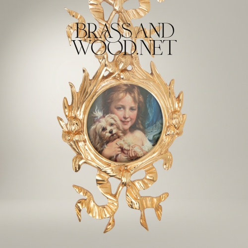 Rococo Handcrafted Brass Double Medallion Wall Frame with Ribbon Bow and Acanthus Leaf Ornamentation Gold Front | Brass & Wood